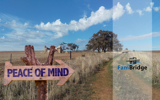 What price can you put on peace of mind?