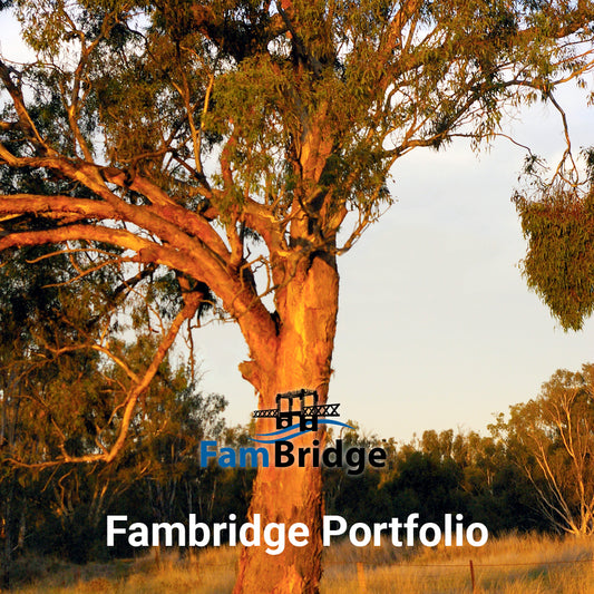 FamBridge ®  A4 Size Family Preparedness Portfolio