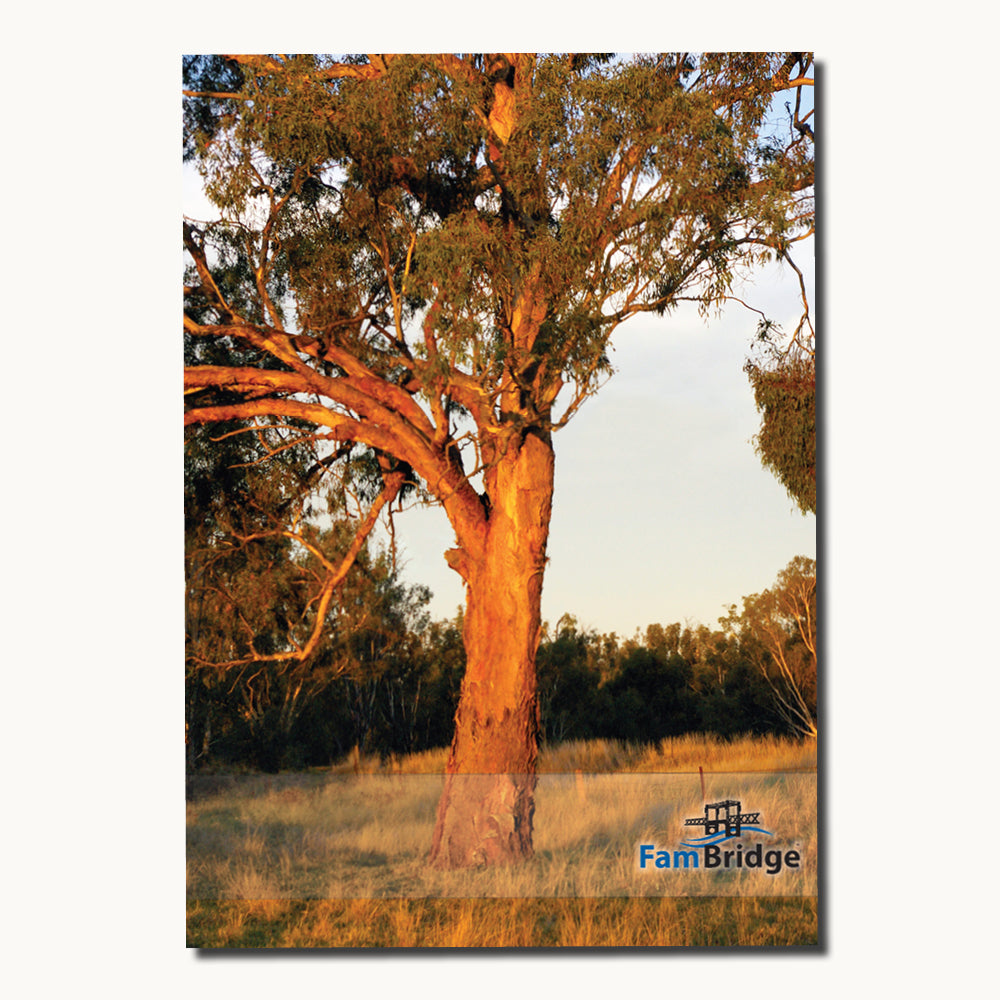 FamBridge ® A4 Size Family Preparedness Portfolio
